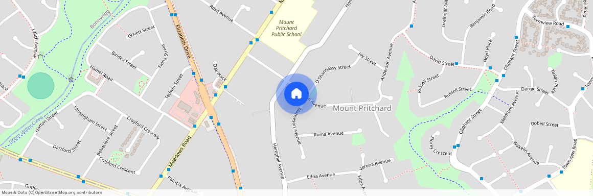 120 Anderson Avenue, NSW 2170, Mount Pritchard