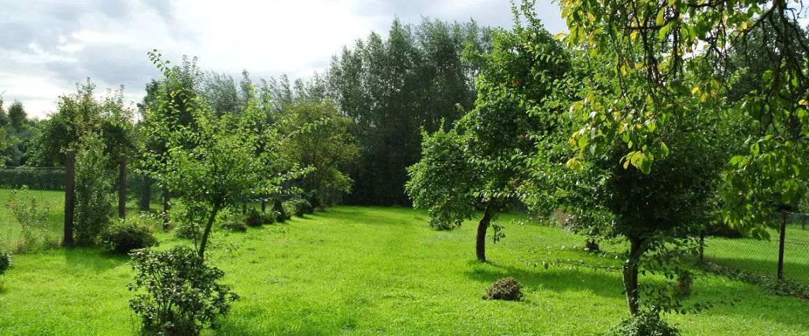 Freistehendes Einfamilienhaus mit großem Garten mit Obstbäumen zu vermieten. - Photo 1