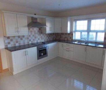 Lisnisky Lodge, Portadown, BT63 - Photo 6