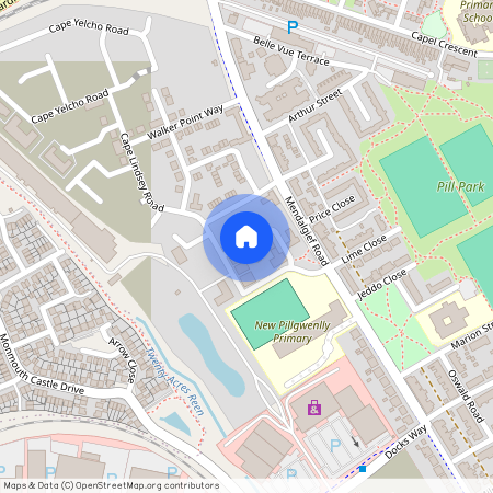 Sultan Glacier Close, NP20 2SB, Newport