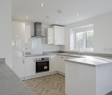 3 bedroom semi-detached house to rent - Photo 6