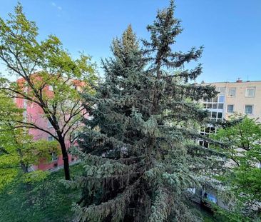 Kiadó felújított lakás - Miskolc - Fotó 6