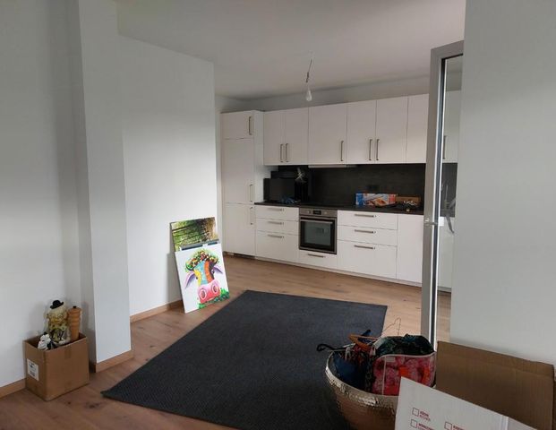 NEUBAU in Kaufungen, 4-Zimmer-Wohnung, TOP-Austattung - Foto 1