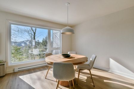 2730 Rue Alexis, app.201, J8B 0G8, Sainte-Adèle - Photo 5