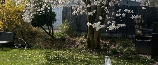 Zwei-Zimmer 50qm Leverkusen Nachmieter gesucht - Foto 1