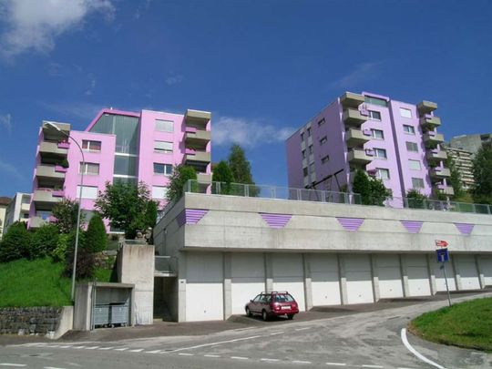 Chemin des Carabiniers 1, 4.5 pièces au 3ème Sud - Photo 1