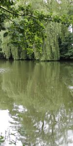 Demnächst frei! 3-Zimmer-Wohnung in Siegen Wenscht - Photo 3