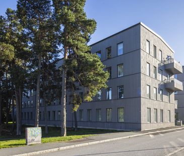 Bryggargatan, Nynäshamn - Foto 2