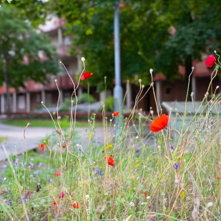 Torstensonsgatan 33, Borås - Foto 3