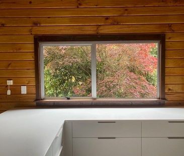 Wake up to the sound of Tui's - Photo 2