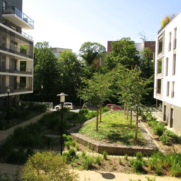 T4 – Parc de la Robiquette - Photo 1
