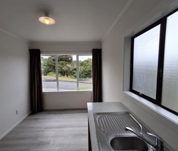 Fully Renovated Downstairs Flat For Rent - Photo 3