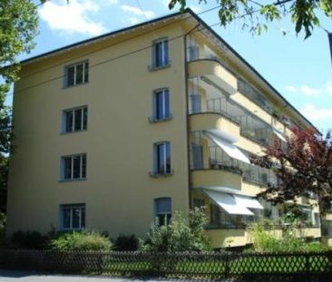 2.5 Zimmer Wohnung - Foto 4