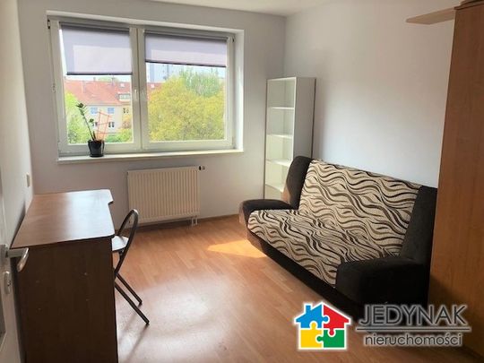 Bliskie Zaodrze, Opole - Photo 1