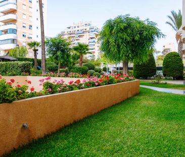 El Campello - Foto 4