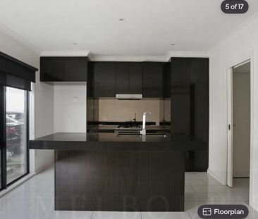 Springvale - Photo 3