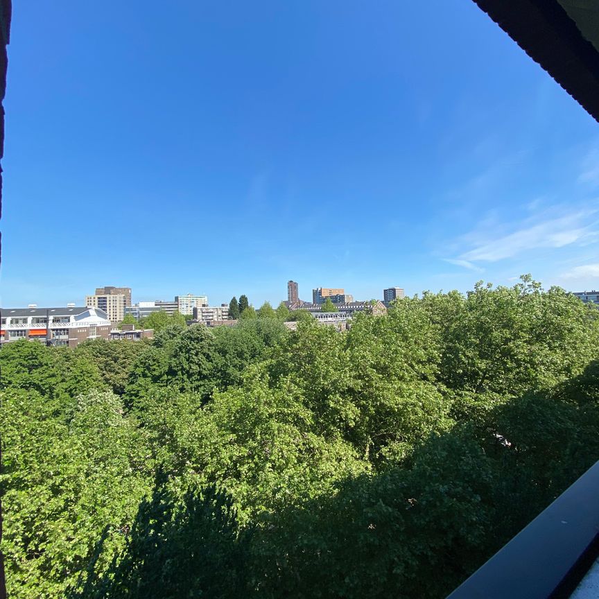 Te huur: Appartement Kipstraat 33 K in Rotterdam - Photo 1