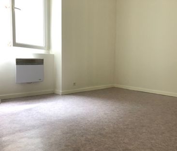 Location Appartement 1 pièce 24m² NANTES 44100 - Photo 3
