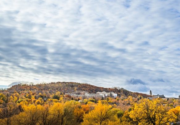 Appartement à louer - Montréal (Outremont) - Photo 1