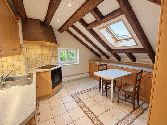 BEAUTIFUL CHARMING 4-ROOM APARTMENT WITH A VIEW OF THE SALÈVE - Photo 1