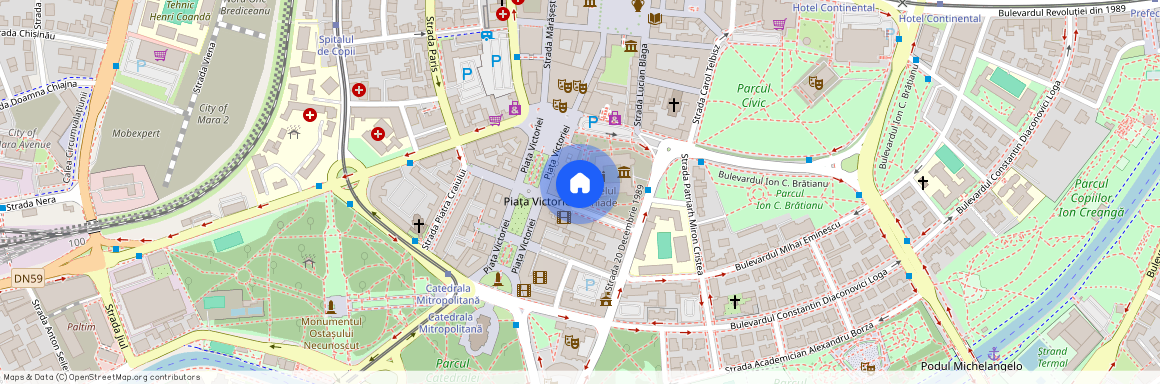 Timis, Timisoara