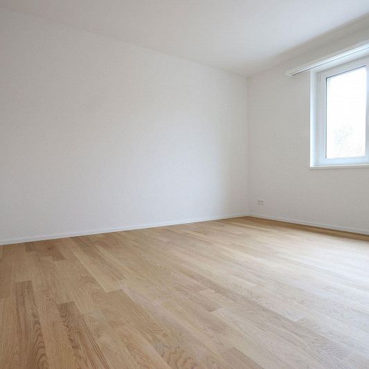 3.5 Zimmer Wohnung - Photo 1