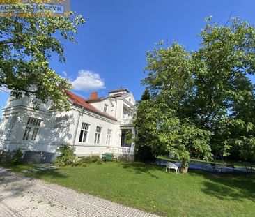 Miński, Sulejówek - Photo 2