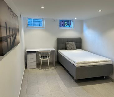 Bragevägen, Lund - Photo 5