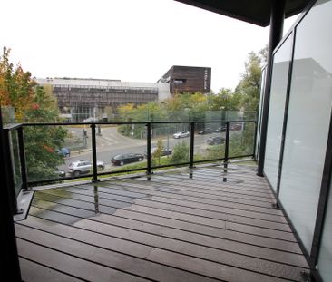 Live with the owner - 1 bedroom apartment - Photo 2