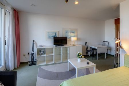 Furnished apartment for rent in the Olympic Village - Photo 4