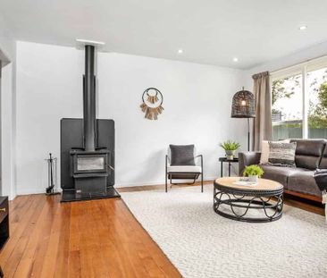 Pet Friendly Home - Photo 1