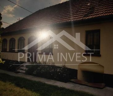 Apart 2 camere central deva pt inchiriere - Photo 6