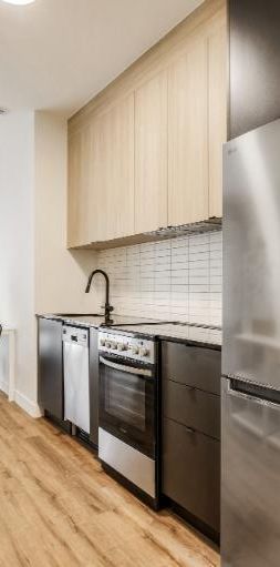 2 1/2 - Montréal (La Petite-Patrie) - 1 575 $/mois - Photo 1