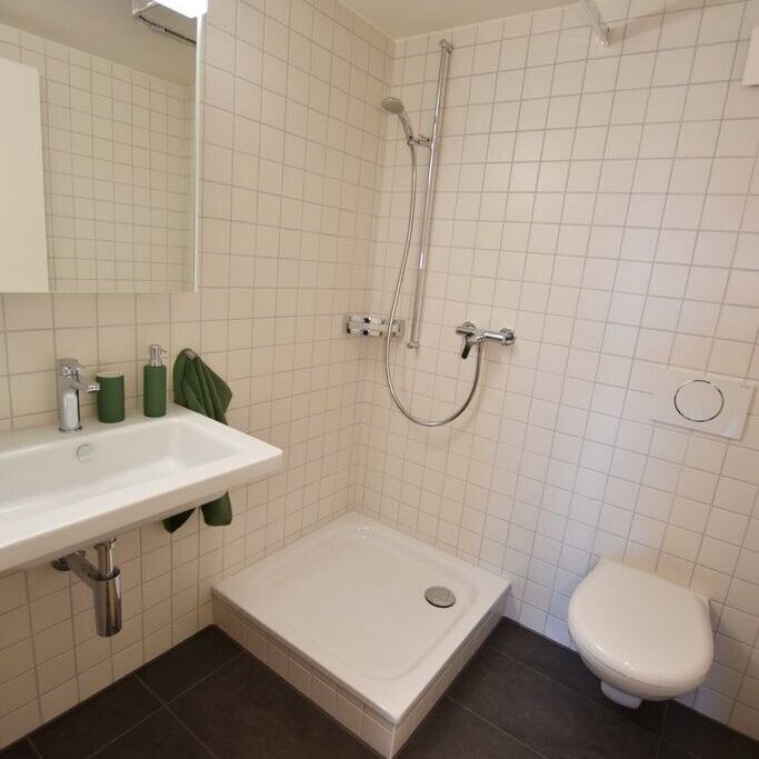 Appartement de 4,5 pièces dans le quartier familial de Nessleren - Photo 1