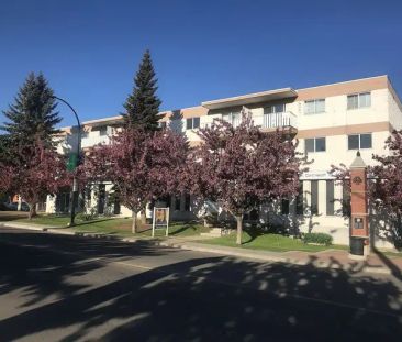 BONNIE DOON MANOR - 1 Bedroom W/Balcony | 307 - 9107 88 Ave NW, Edm... - Photo 1