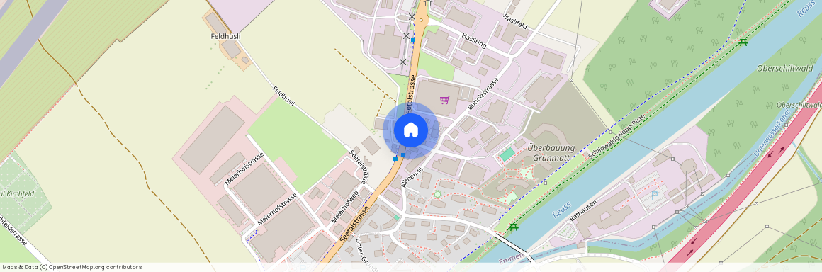 Grünmatt 1, 6032 Emmen