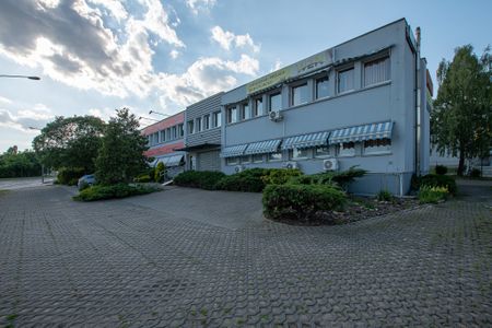 Powierzchnia biurowa na wynajem w doskonałej lokalizacji Poznań Serbska - Photo 4