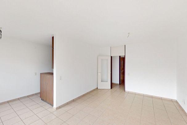 Ampio e luminoso 3.5 locali vicino al lago - Photo 1