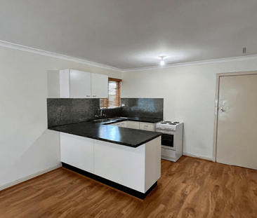 Light filled Living Opposite Yokine Reserve - Photo 5