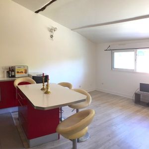 Location Appartement 1 pièce 28m² AURIOL 13390 - Photo 3