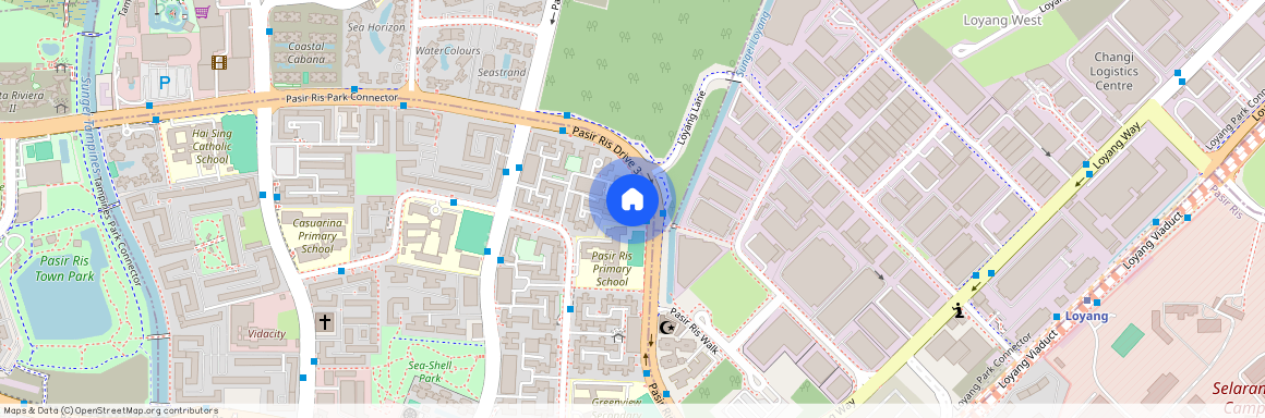 239 Pasir Ris Street 21 (510239), Singapore