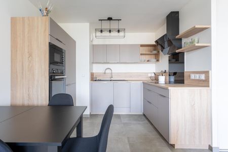 Location Appartement 2 pièces Meublé 45m² MEYTHET 74960 - Photo 3