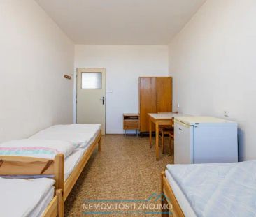 Pronájem lůžka na ubytovně Hrušovany n. Jev. po rekonstrukci bez ka... - Fotografie 2