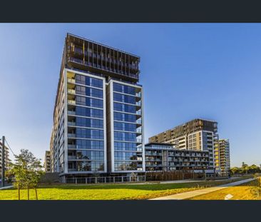 1 Bedroom + 1 bedroom on Morton st - Photo 2