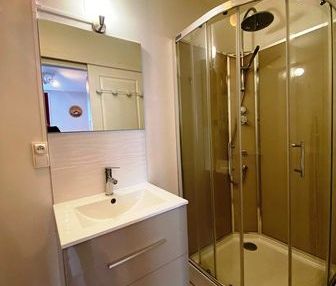 Location Appartement 1 pièce Meublé 15m² MONT DE MARSAN 40000 - Photo 2