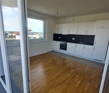 große 3-Zimmerwohnung mit optimalem Grundriss im Wohnpark Tullnerfe... - Photo 5