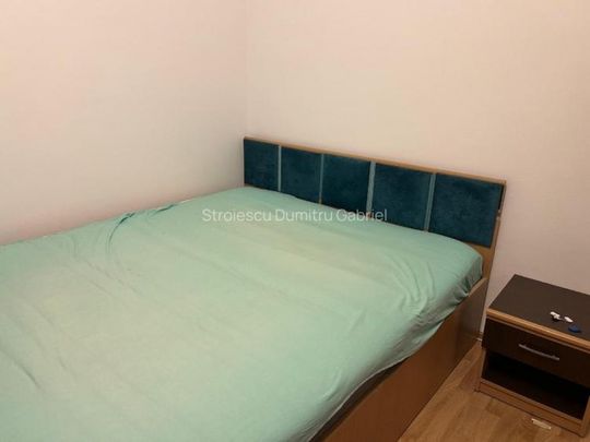 Brancoveanu nitu vasile izvorul rece - Fotografie 1