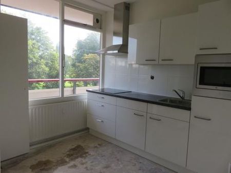 Korfoedreef 3562 SB Utrecht - Foto 4