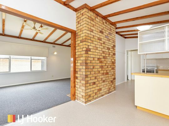 Spacious Three Bedroom Home with High Ceilings - Photo 1