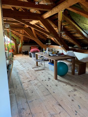 Loft - Dachwohnung in Schluein ab sofort verfügbar! - Photo 5